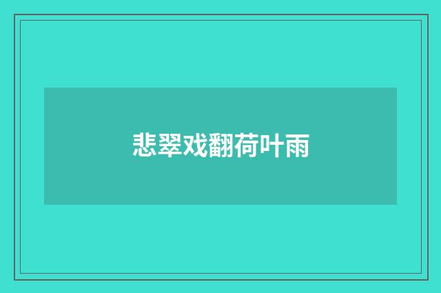 悲翠戏翻荷叶雨