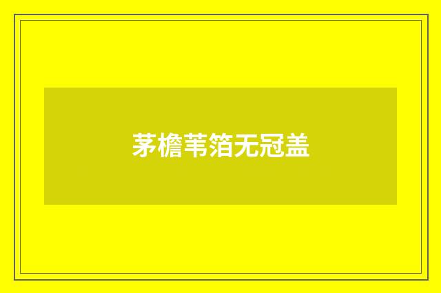 茅檐苇箔无冠盖