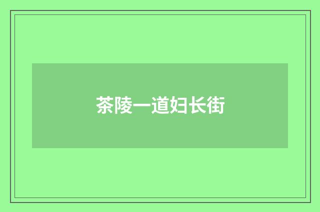 茶陵一道妇长街