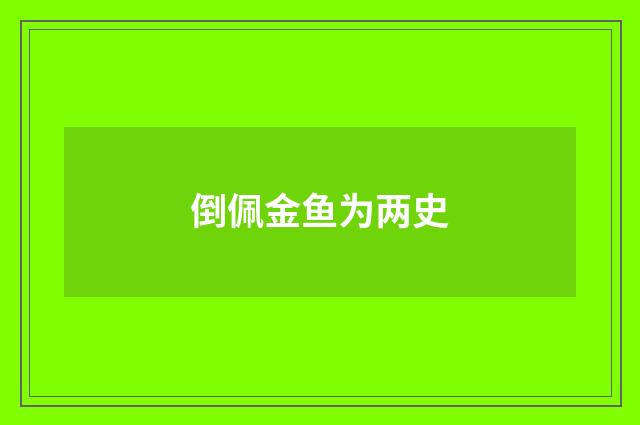 倒佩金鱼为两史