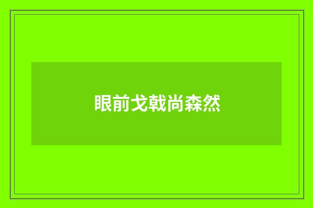 眼前戈戟尚森然