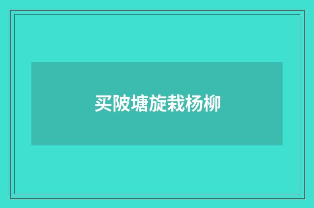 买陂塘旋栽杨柳
