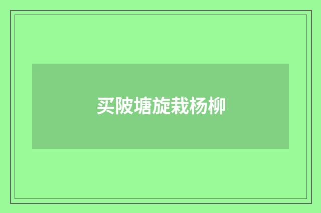 买陂塘旋栽杨柳