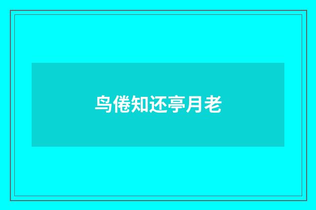 鸟倦知还亭月老