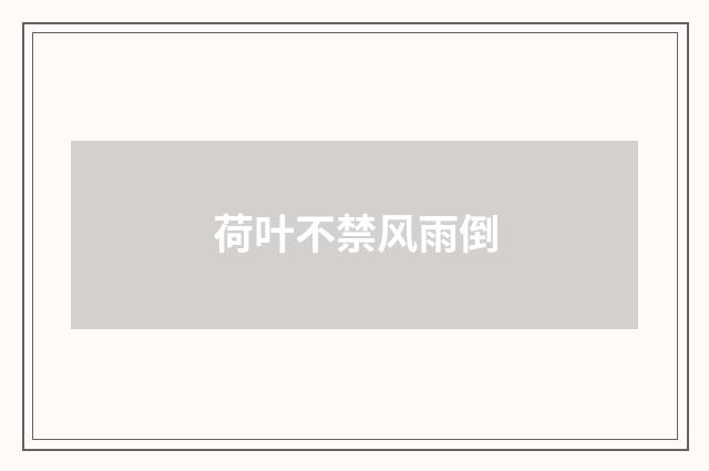 荷叶不禁风雨倒