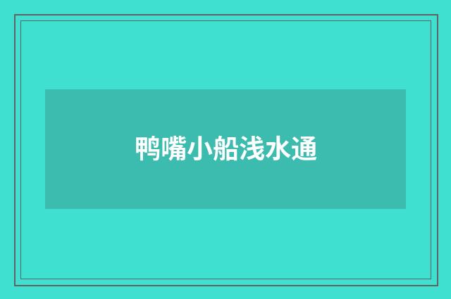 鸭嘴小船浅水通