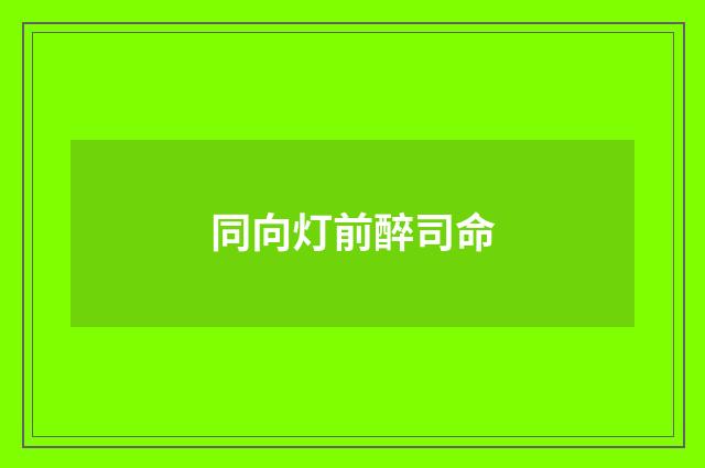 同向灯前醉司命