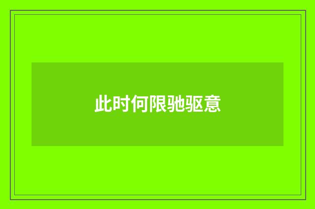 此时何限驰驱意