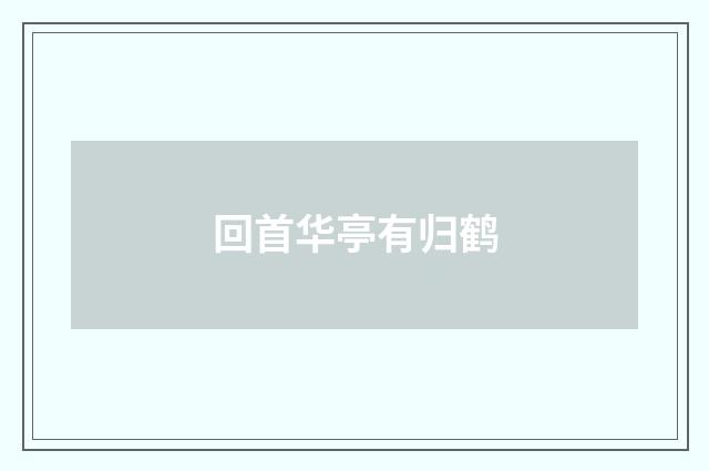 回首华亭有归鹤