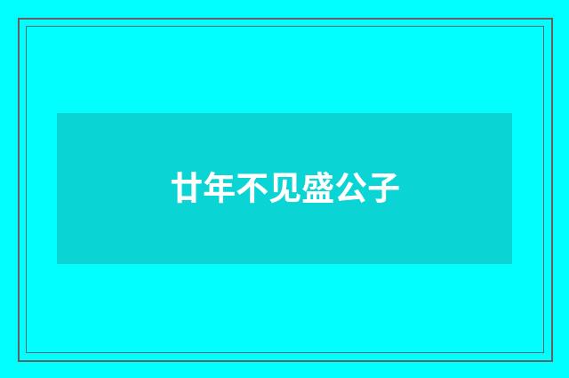 廿年不见盛公子