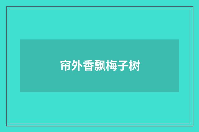 帘外香飘梅子树
