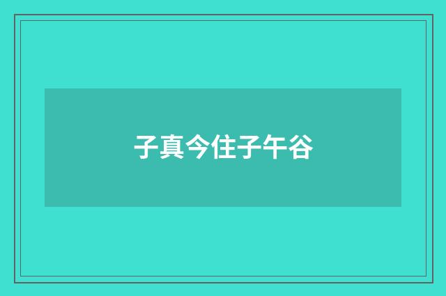 子真今住子午谷