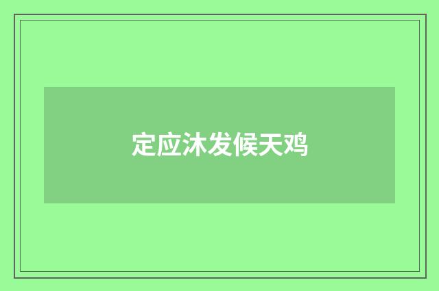 定应沐发候天鸡