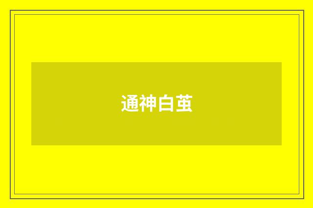 通神白茧