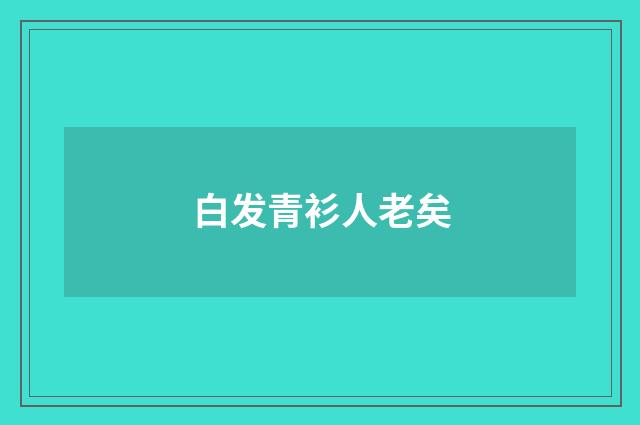 白发青衫人老矣