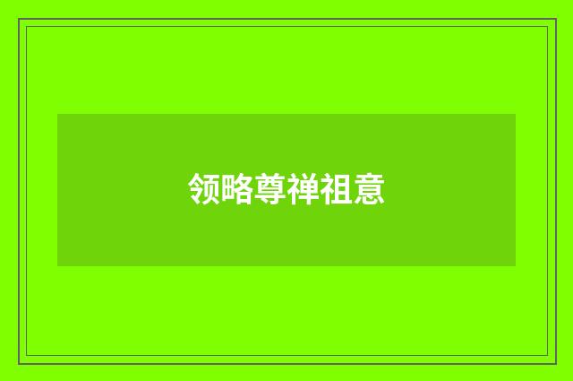 领略尊禅祖意
