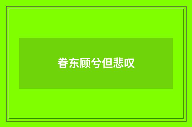 眷东顾兮但悲叹