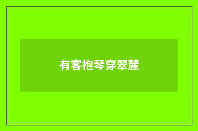 有客抱琴穿翠麓