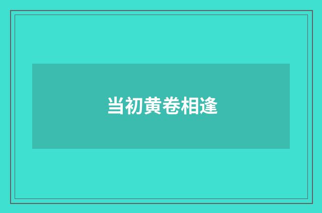 当初黄卷相逢