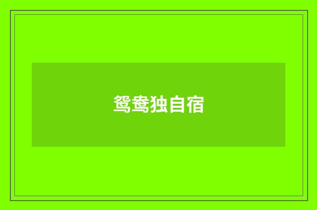 鸳鸯独自宿