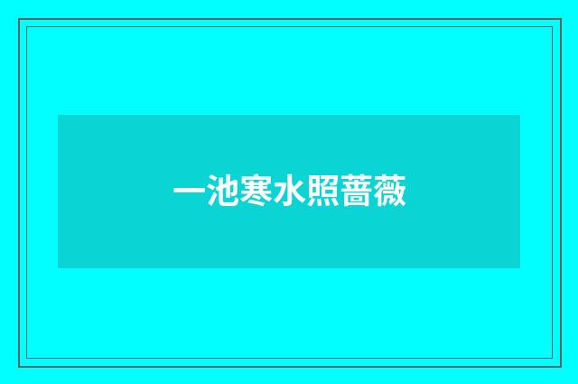 一池寒水照蔷薇