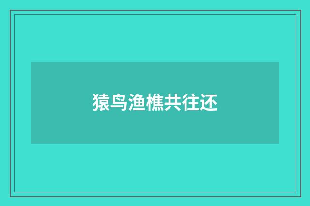 猿鸟渔樵共往还