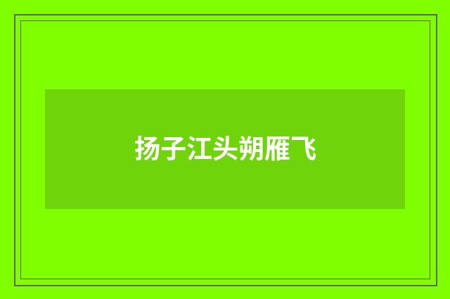 扬子江头朔雁飞