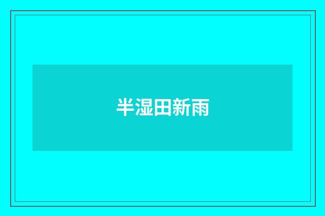 半湿田新雨