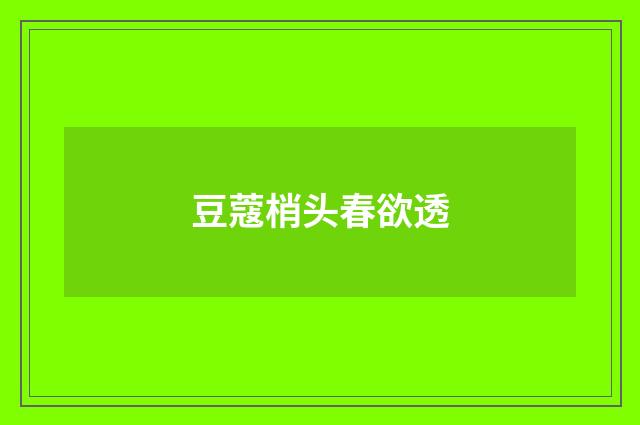 豆蔻梢头春欲透