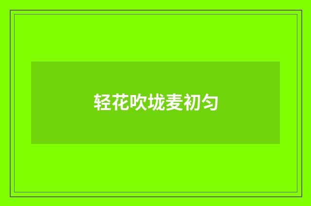 轻花吹垅麦初匀