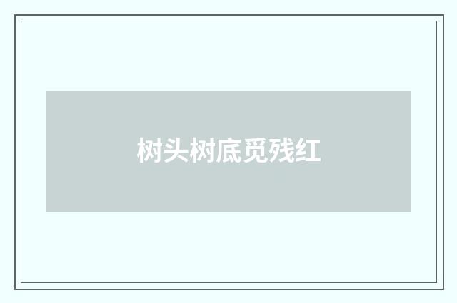 树头树底觅残红