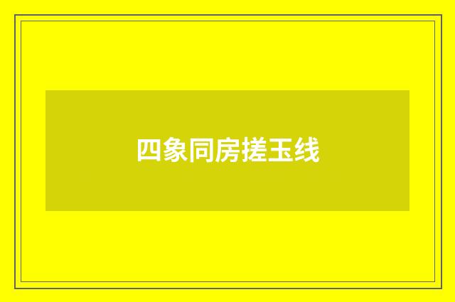 四象同房搓玉线