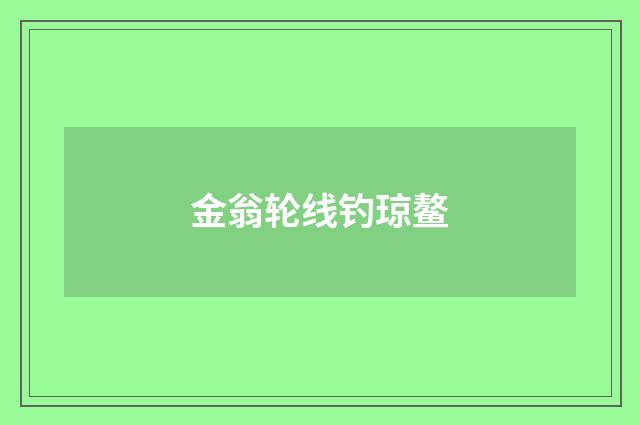 金翁轮线钓琼鳌