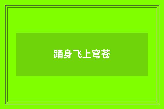 踊身飞上穹苍