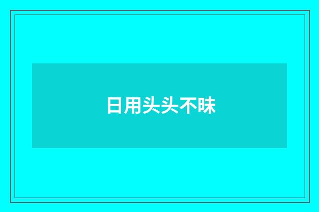 日用头头不昧