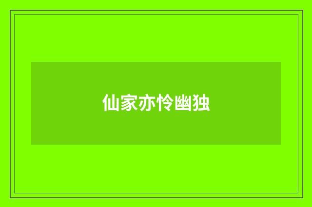 仙家亦怜幽独