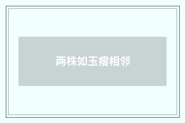 两株如玉瘦相邻