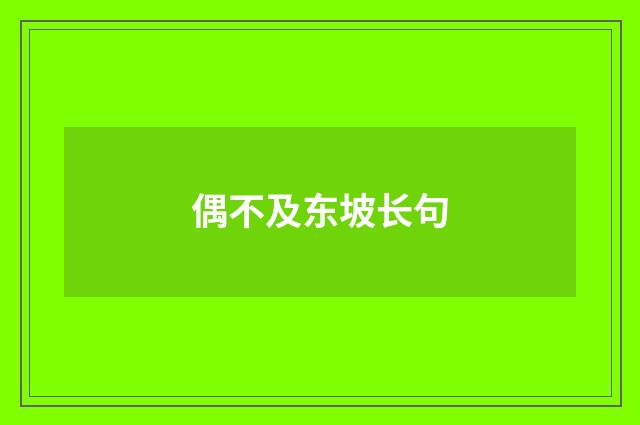偶不及东坡长句