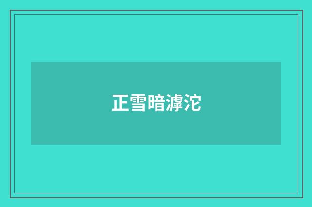 正雪暗滹沱