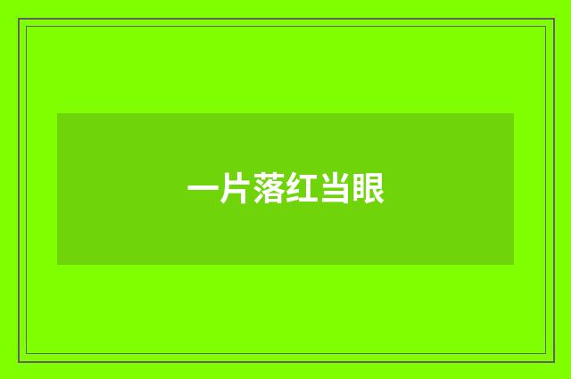 一片落红当眼