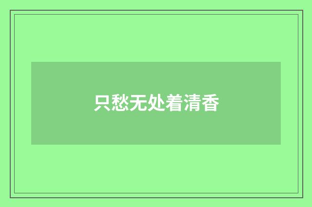 只愁无处着清香