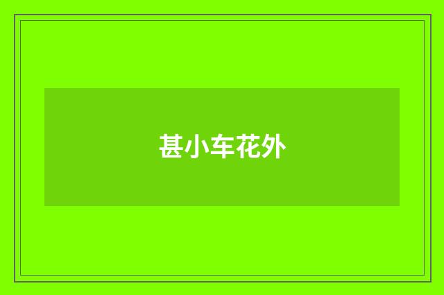 甚小车花外