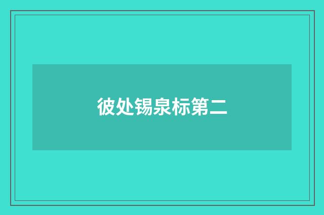 彼处锡泉标第二