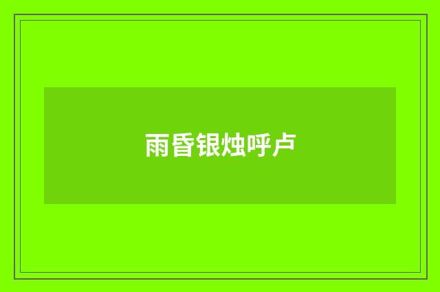 雨昏银烛呼卢