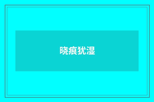 晓痕犹湿
