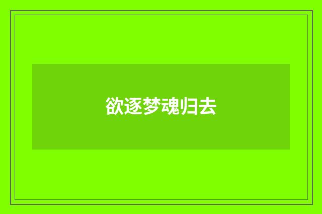 欲逐梦魂归去
