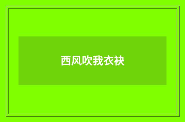 西风吹我衣袂