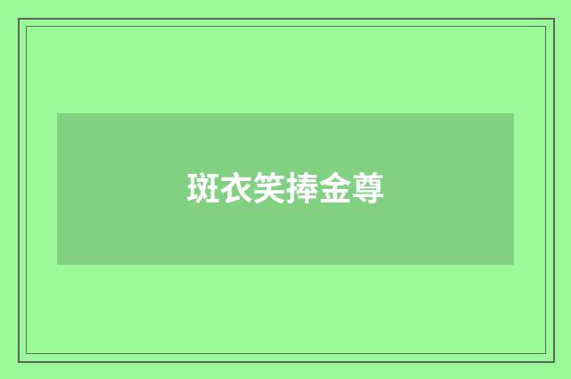 斑衣笑捧金尊