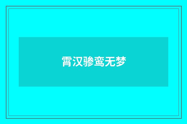 霄汉骖鸾无梦