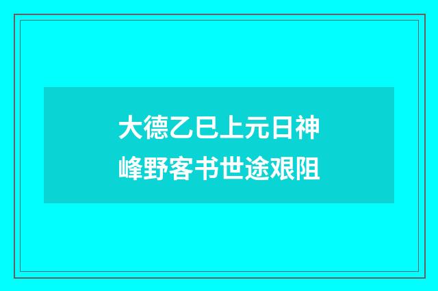 大德乙巳上元日神峰野客书世途艰阻
